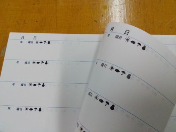 画像2: [marumizu オリジナル] 10年日記本文 (2)