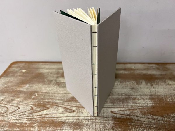 画像1: [リモート参加可能] ニューエイジテクニクス：コデックス装 (1)