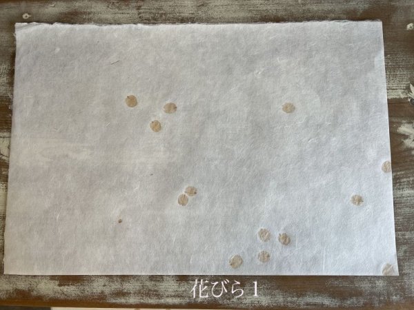 画像4: [限定品]楮和紙・桜入り (4)