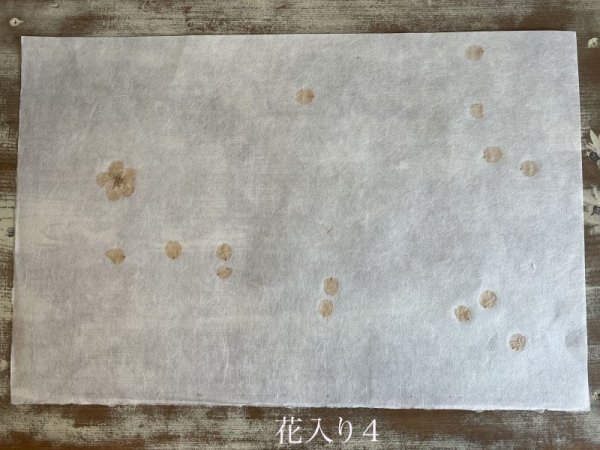 画像10: [限定品]楮和紙・桜入り (10)