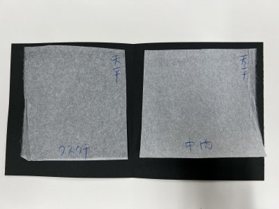 画像3: 裏打ち用和紙　天平